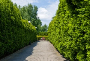 Jak ubrać się na pogrzeb?