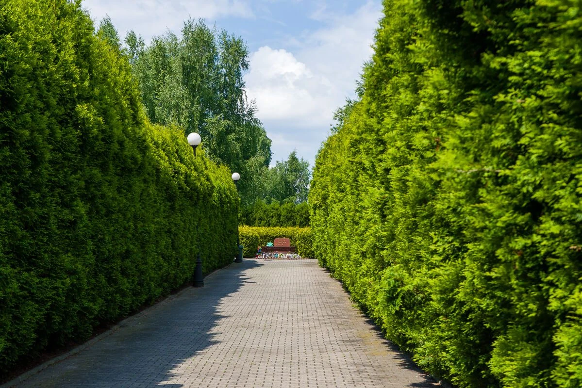 Jak ubrać się na pogrzeb