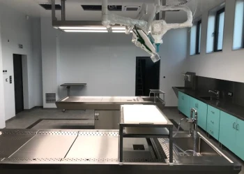 Park pamięci | Sekcje zwłok